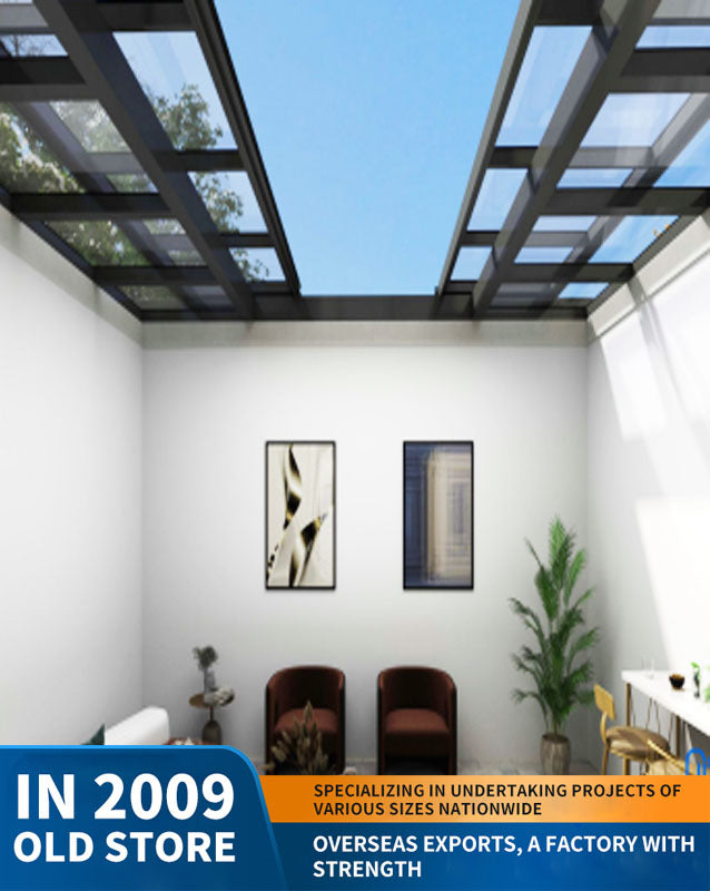 HEAVY DUTY OVERHEAD SKYLIGHT